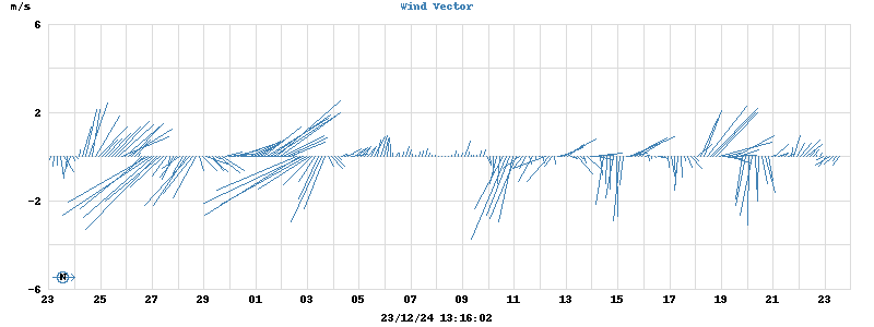 Wind Vector